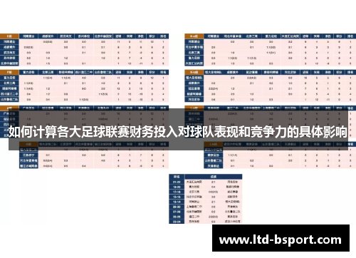 如何计算各大足球联赛财务投入对球队表现和竞争力的具体影响