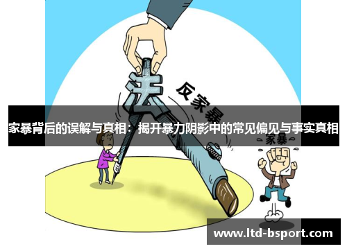 家暴背后的误解与真相：揭开暴力阴影中的常见偏见与事实真相